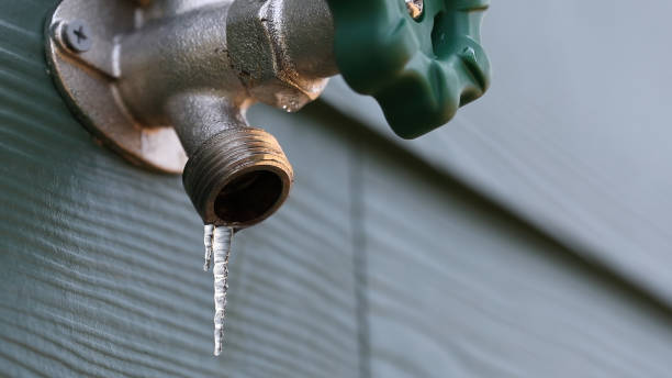 Best Emergency Plumber  in Bellemont, AZ